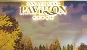 Thiết-kế-thi-công-chữ-nổi